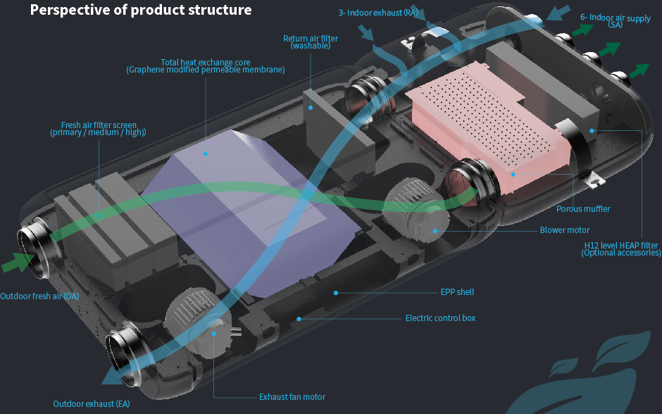 Internal Structure